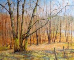 V olších  65x80